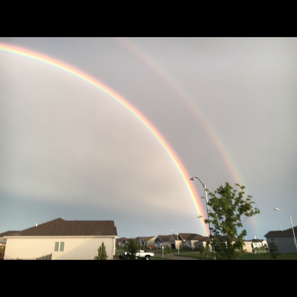 Meet your Posher, Krissi